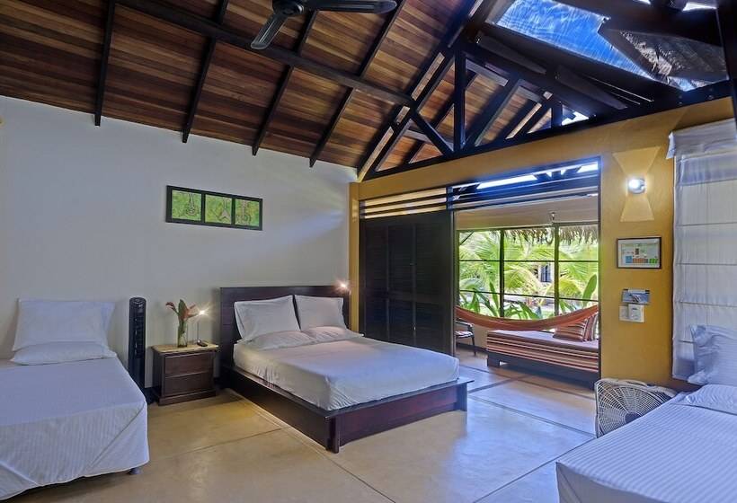 Amazon Bed And Breakfast