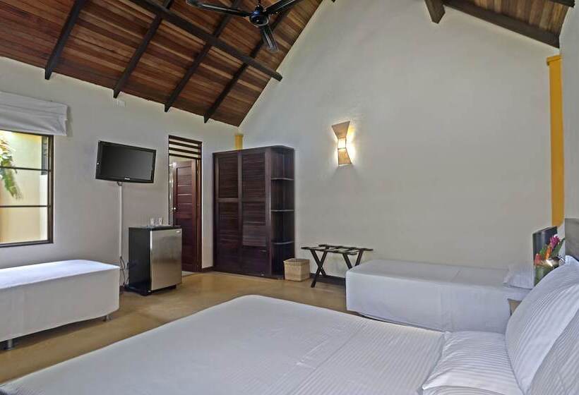 Amazon Bed And Breakfast