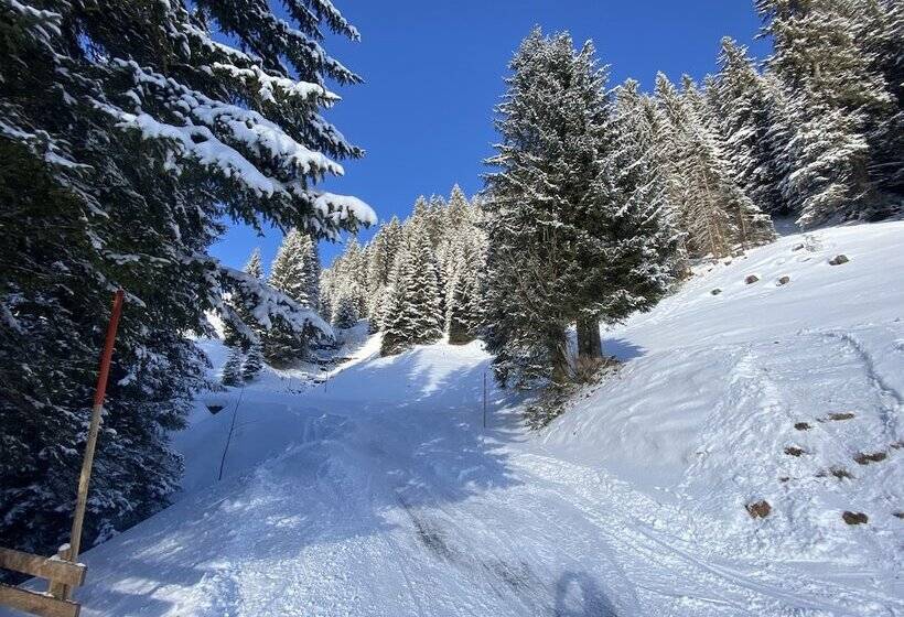 Aparthotel Alpinresort Damüls