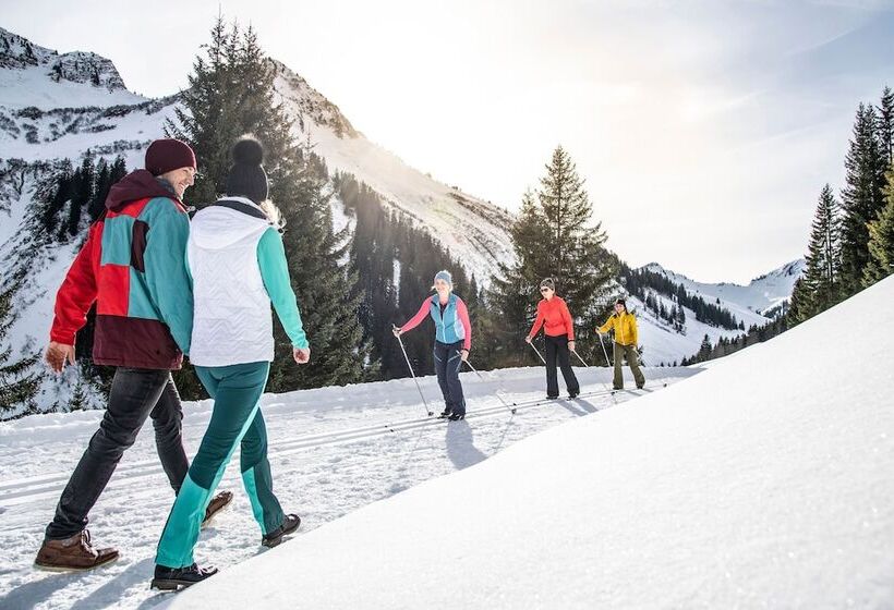 Aparthotel Alpinresort Damüls