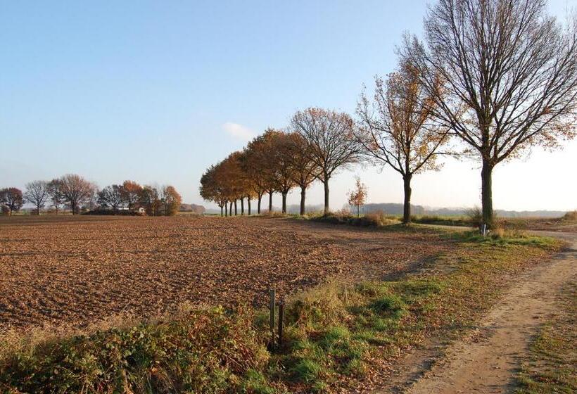 Bed and Breakfast Bergopwaerts