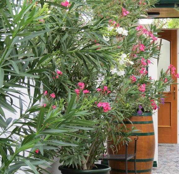 Bed and Breakfast Gartenpension Fischl