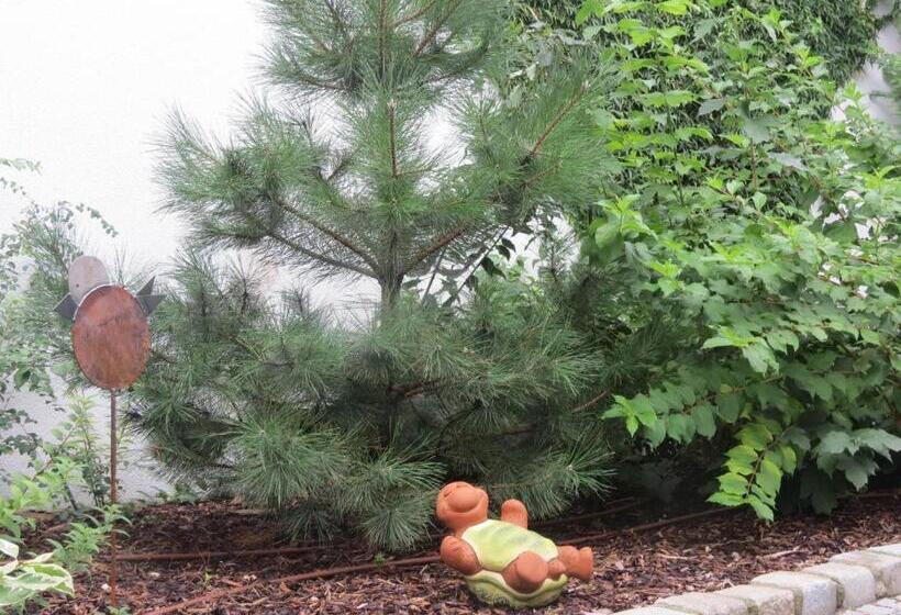 Bed and Breakfast Gartenpension Fischl