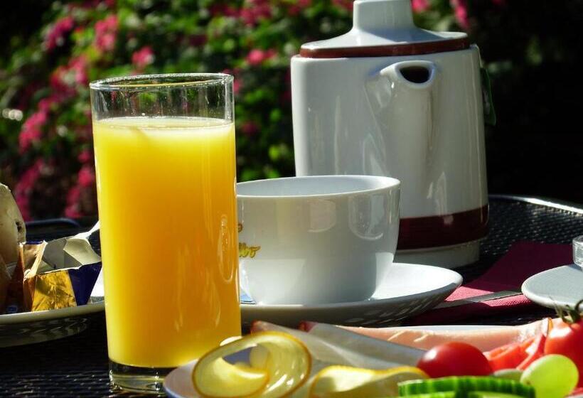 Bed and Breakfast Gartenpension Fischl