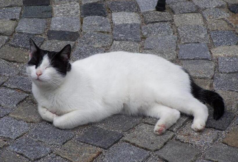 Bed and Breakfast Gartenpension Fischl