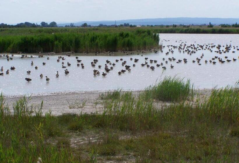 Bed and Breakfast Gartenpension Fischl