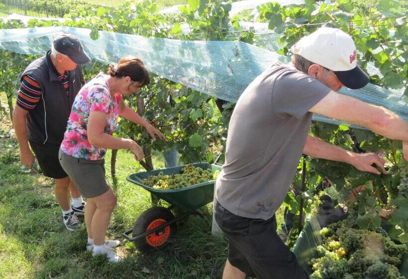 Bed and Breakfast Gartenpension Fischl