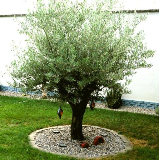 Bed and Breakfast Gästehaus Gisch Sandra