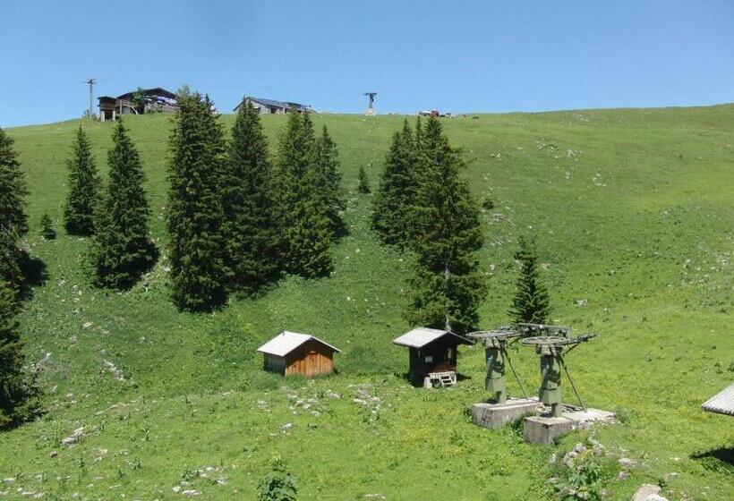 مبيت وإفطار Gästehaus Pension Barbara