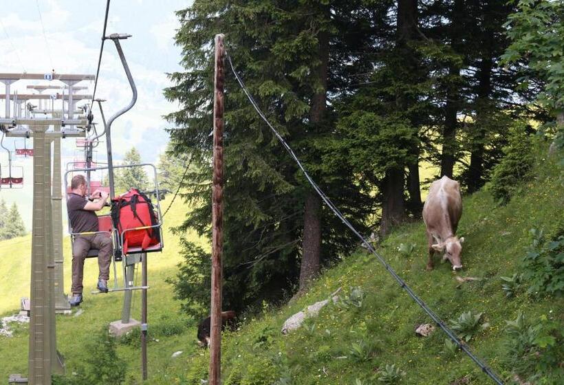 مبيت وإفطار Gästehaus Pension Barbara