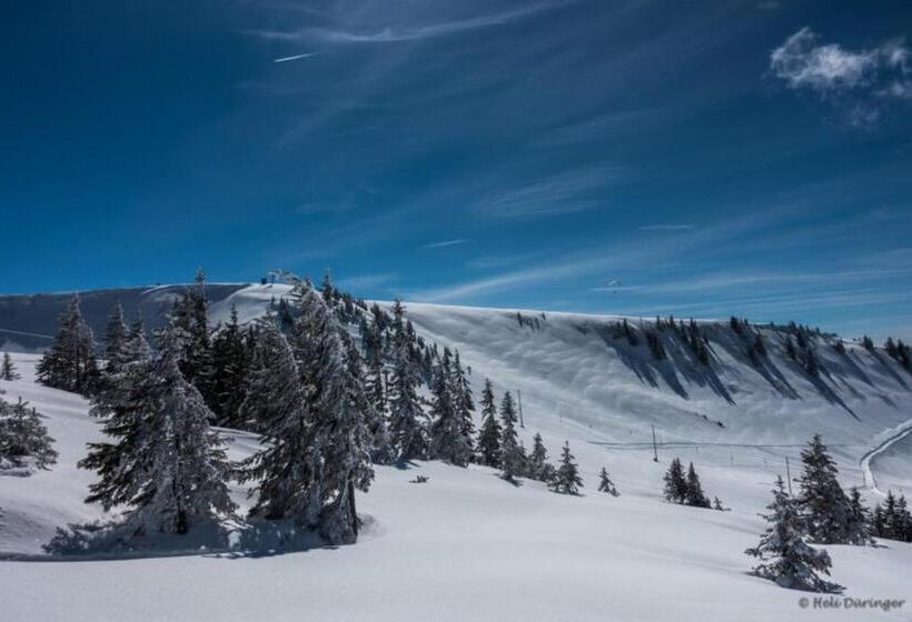 مبيت وإفطار Gästehaus Pension Barbara