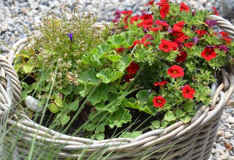 Bed and Breakfast Gästehaus Schmidt