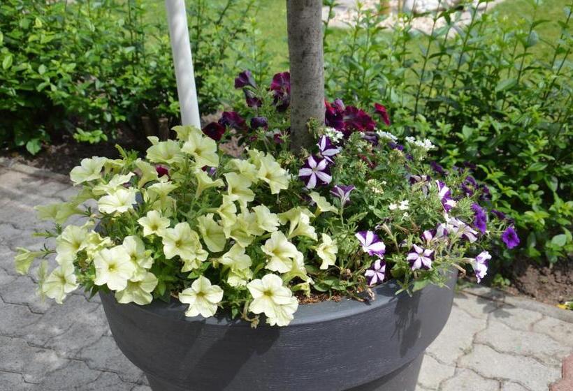 Bed and Breakfast Gästehaus Schmidt