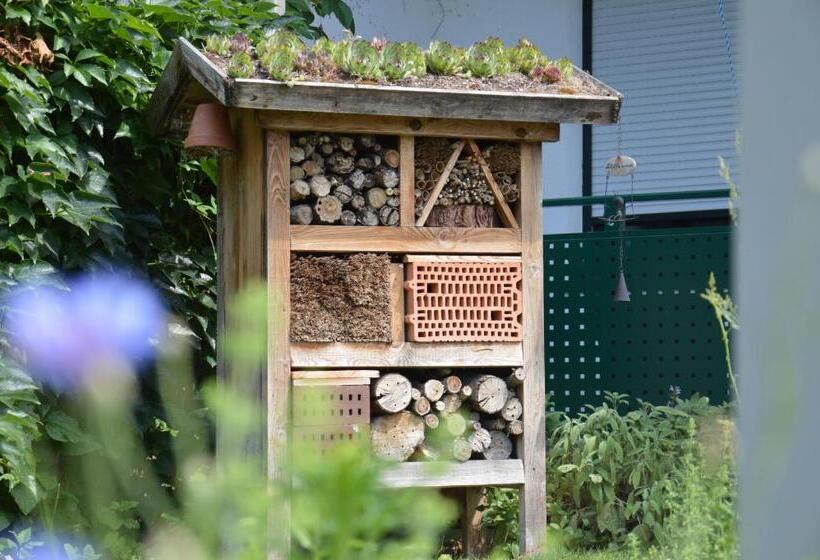 Bed and Breakfast Gästehaus Schmidt