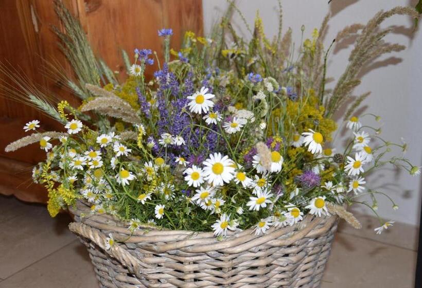 Bed and Breakfast Gästehaus Schmidt