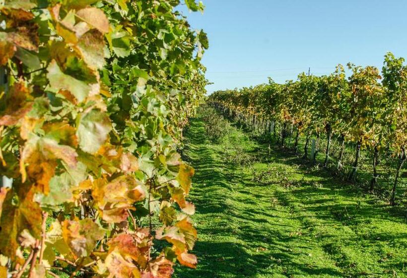 Bed and Breakfast Gästehaus Schmidt