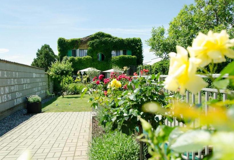 Bed and Breakfast Gästehaus Schmidt