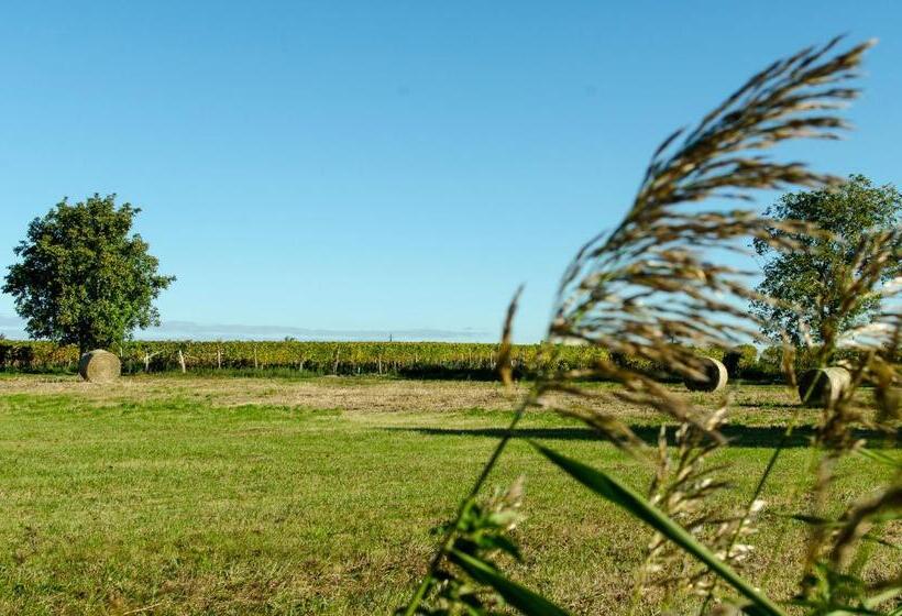 Bed and Breakfast Gästehaus Schmidt