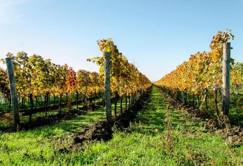 Bed and Breakfast Gästehaus Schmidt