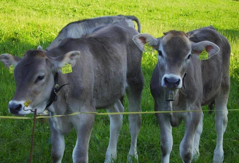 Berghof Vöglerbrand