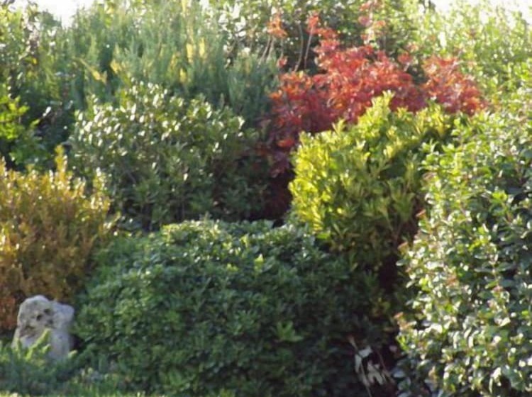 فندق Alla Corte Del Picchio Room & Breakfast