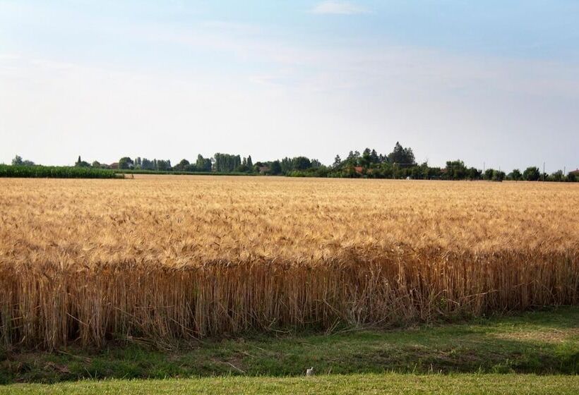 فندق Alla Corte Del Picchio Room & Breakfast