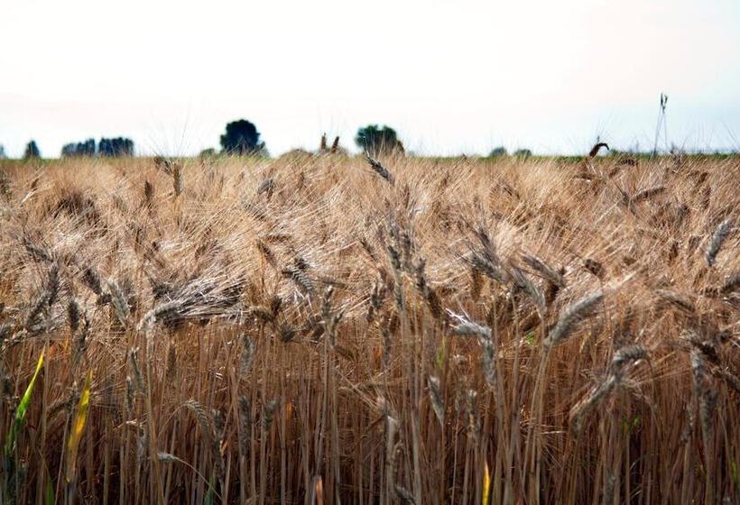 فندق Alla Corte Del Picchio Room & Breakfast