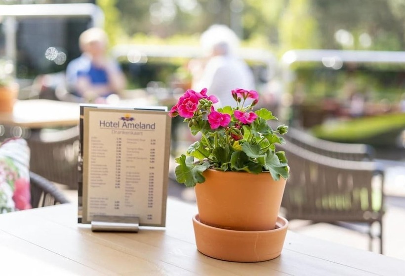 酒店 Ameland