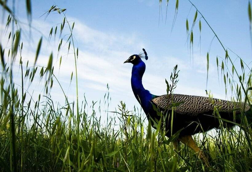 בית מלון כפרי Antica Corte Pallavicina Relais