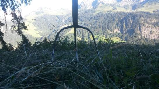 Familienbauernhof Burtscher