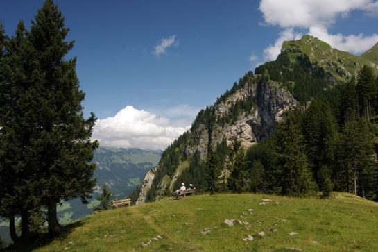 Bauernhof Dietrich Edith Und Raimund