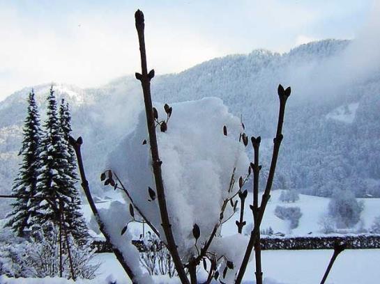 Bauernhof Greber Rita Und Wolfgang