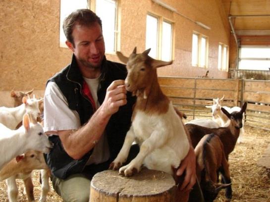 Bauernhof Held Rainer