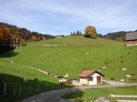 Bauernhof Held Rainer