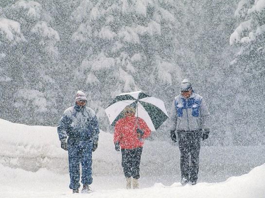 Bauernhof Held Rainer