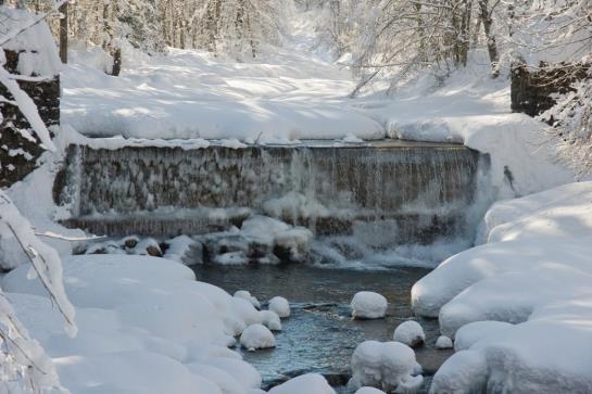 Bauernhof Moosmann Gretl