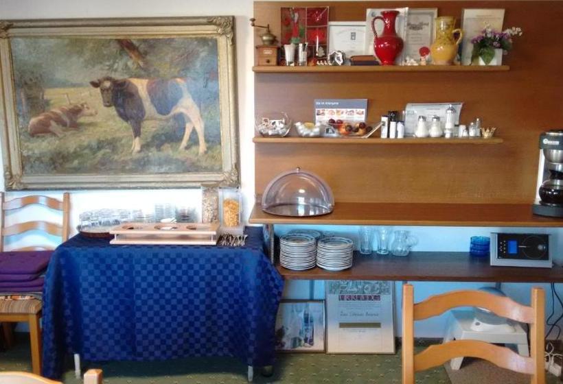 فندق Haus Brauer