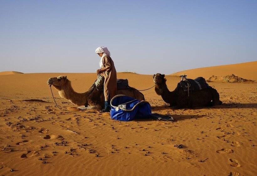 ホテル Chez Youssef