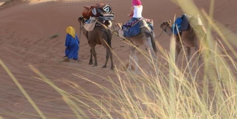 ホテル Chez Youssef