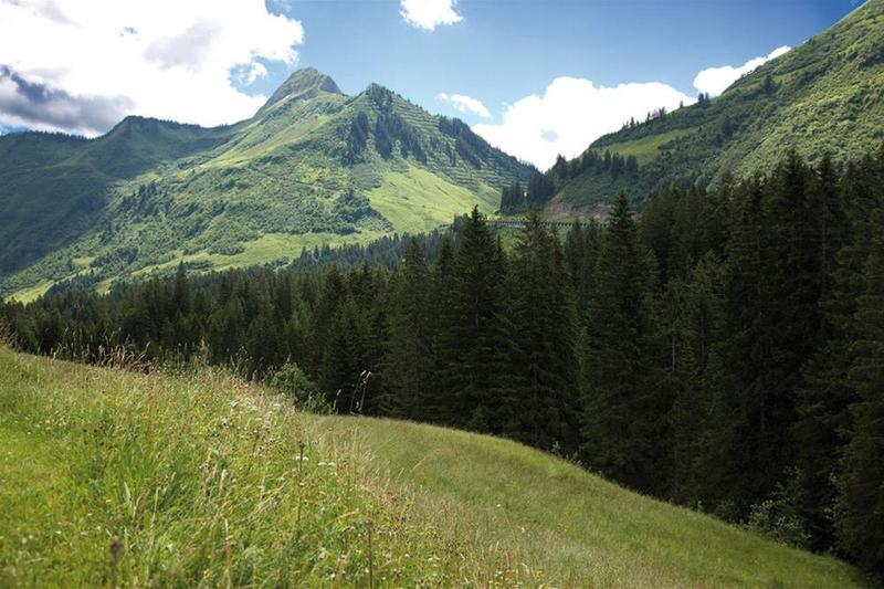 Alpine Lifestyle Berghotel Madlener