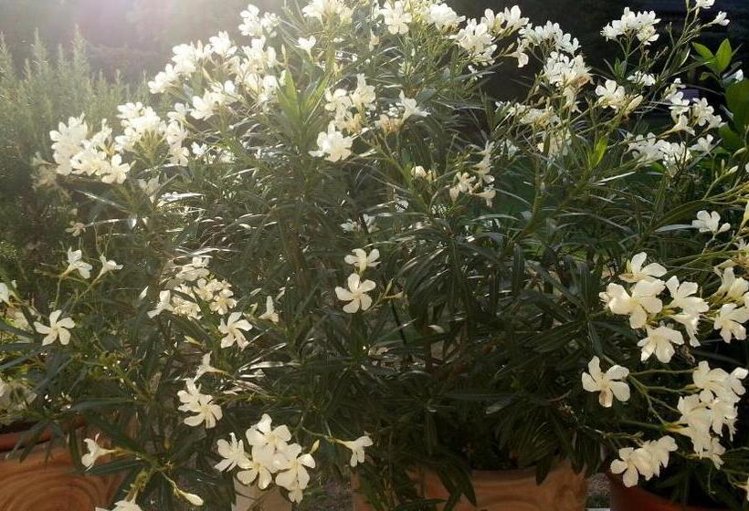 호텔 Das Mittelpunkt