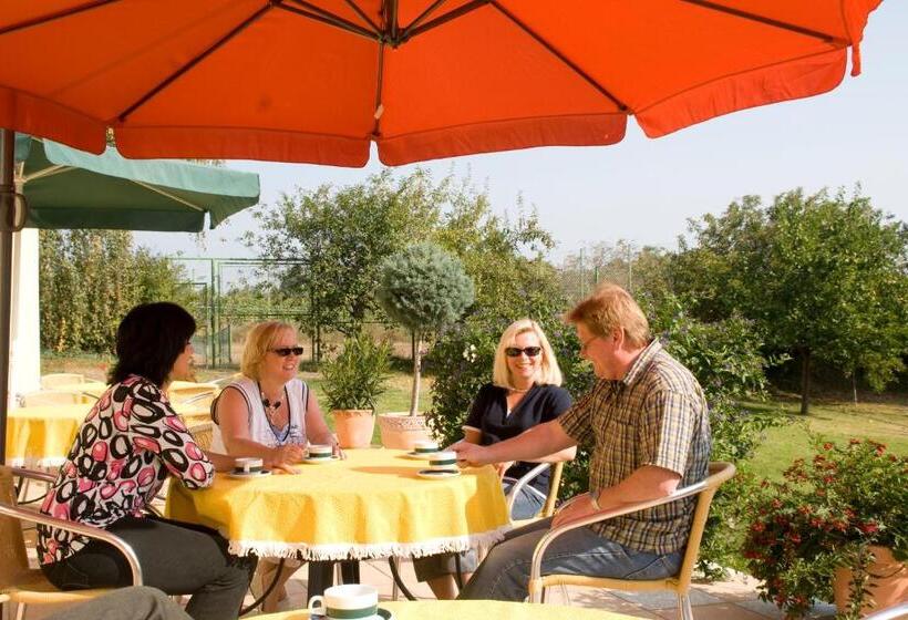 호텔 Das Mittelpunkt