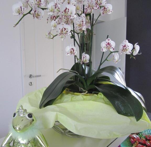 호텔 Das Mittelpunkt