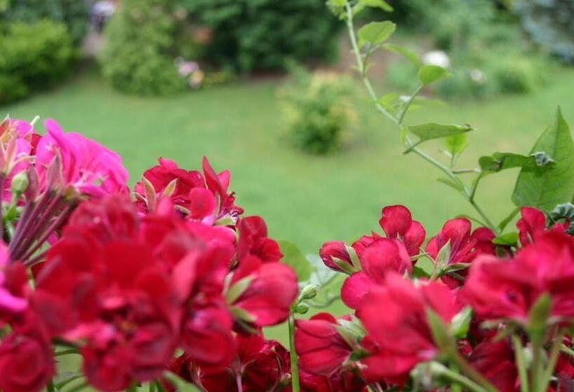 호텔 Das Mittelpunkt