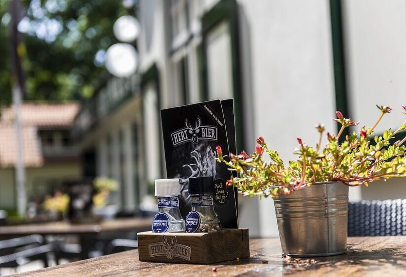 בית מלון כפרי De Hoeve Van Nunspeet