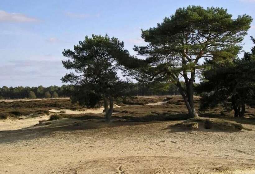 בית מלון כפרי De Koningsherberg