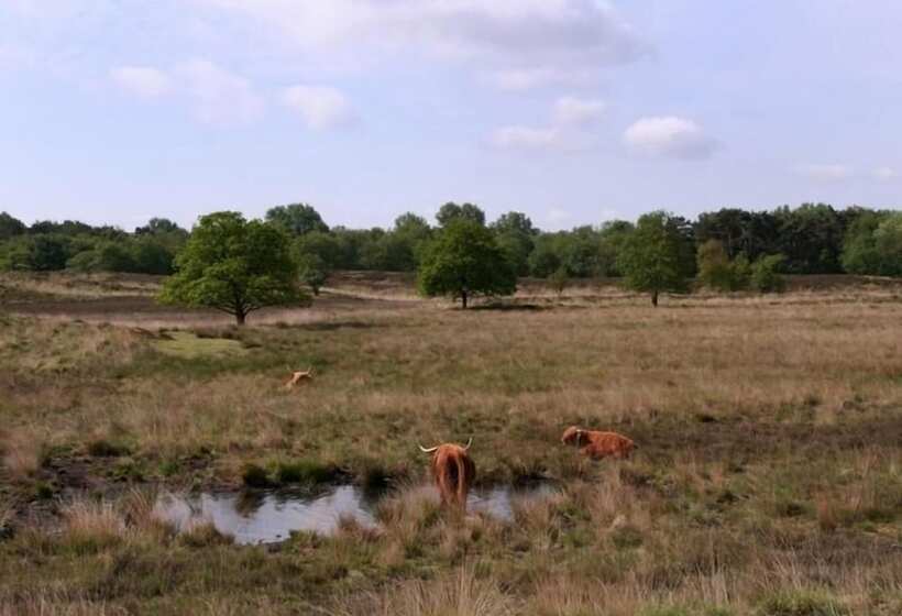 בית מלון כפרי De Koningsherberg