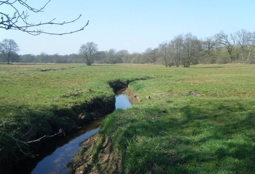 בית מלון כפרי De Koningsherberg