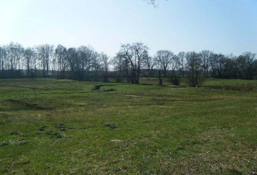 בית מלון כפרי De Koningsherberg