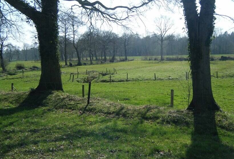 בית מלון כפרי De Koningsherberg